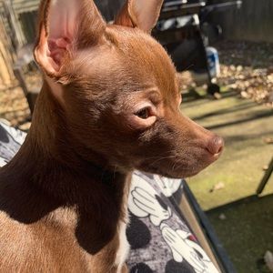 Meet your Posher, Hannah